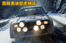 圖解奧迪壁虎神話