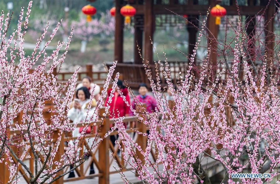 #CHINA-SPRING FESTIVAL-BLOSSOM (CN)