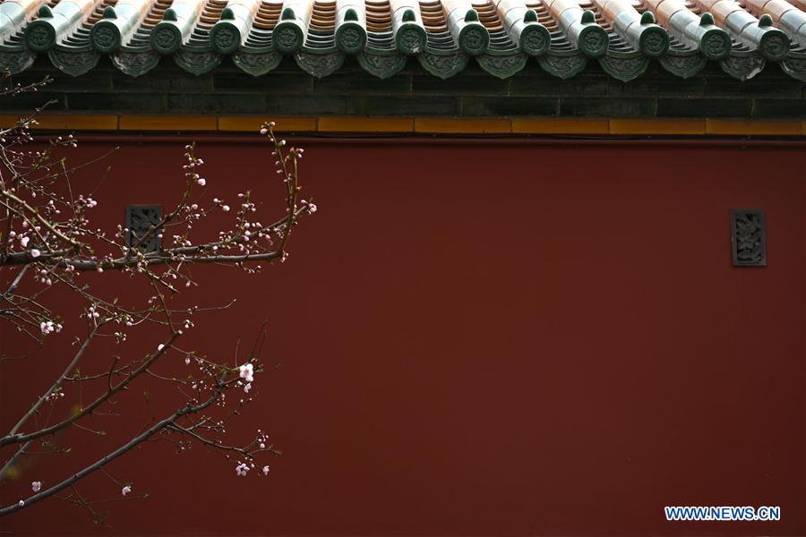 (InPalaceMuseum)CHINA-BEIJING-PALACE MUSEUM-FLOWERS (CN)