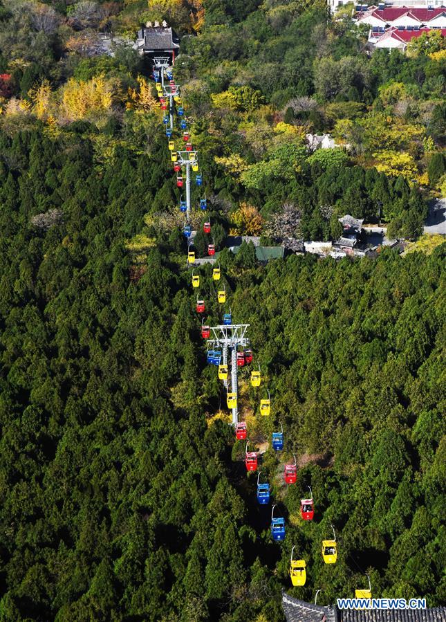 CHINA-SHANDONG-QIANFOSHAN MOUNTAIN-SCENERY (CN)