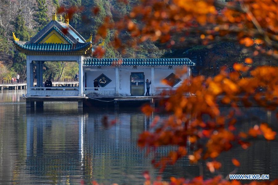 CHINA-JIANGXI-LUSHAN-MAPLE LEAVES (CN)