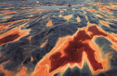 全國污染地塊至少30萬塊 絕大多數(shù)未被修復