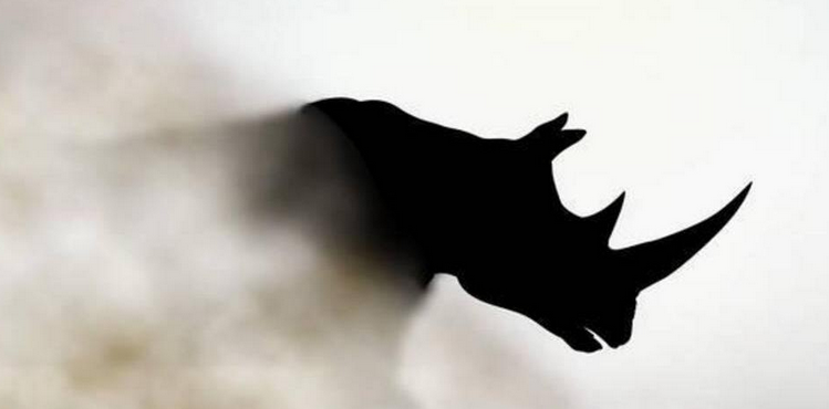 緊盯銀行業&ldquo;灰犀牛&rdquo; 穿透式監管料出重拳