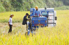 農村改革:24個試驗區允許政策和體制突破