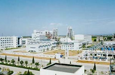 巨化集團(tuán):老國(guó)企煥發(fā)新生機(jī)