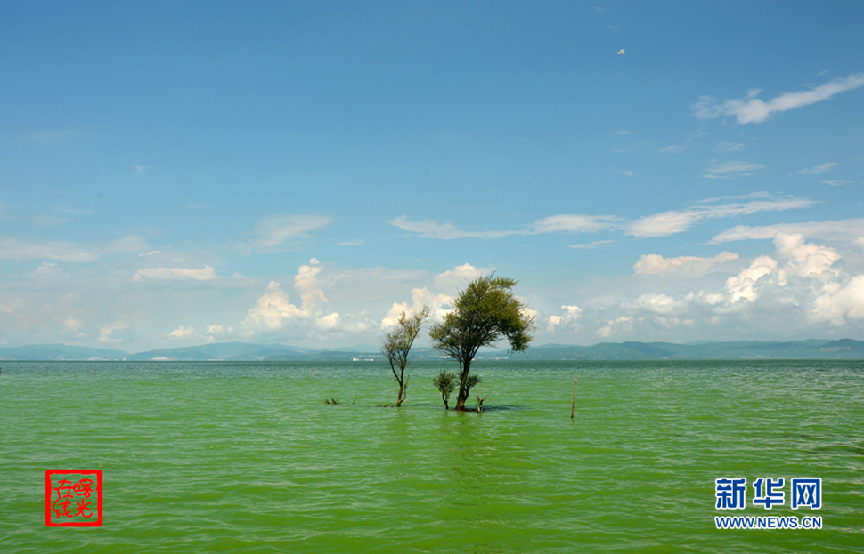 陽光昆明，爽爽的春城