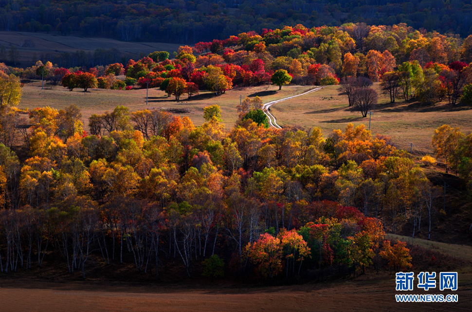 《烏蘭布統草原的秋天》