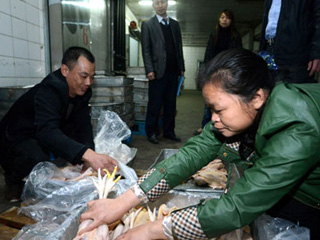 江西宰殺、冷凍積壓禽肉 緩解H7N9禽流感影響