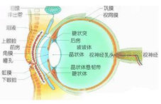 青光眼什么時候手術(shù)最合適?