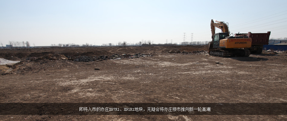 亦莊，續演美麗嬗變