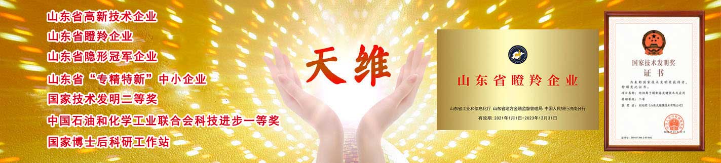 潛在的金融危機與治理路徑