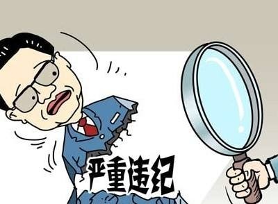 近20名中管干部被立案審查 聚焦2017中國(guó)反腐&ldquo;成績(jī)單&rdquo;