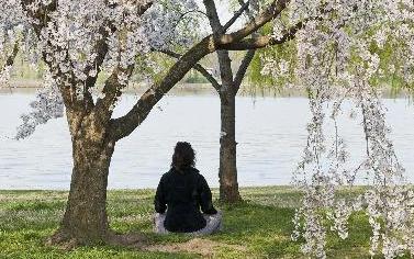 一周看點：奧巴馬敦促朝停止&ldquo;好戰做法&rdquo; H7N9病人轉為陰性