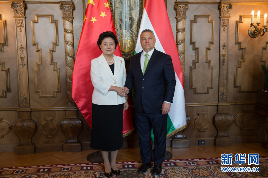  6月21日，國務院副總理劉延東（左）在匈牙利布達佩斯國會大廈會見匈牙利總理歐爾班。 新華社發(fā)（弗爾季&middot;奧蒂洛攝）