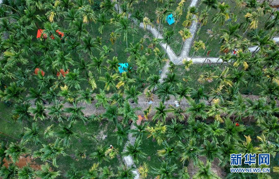 （社會）（3）海南貧困黎鄉&mdash;&mdash;小妹村：旅游扶貧將綠水青山打造成金山銀山(4)