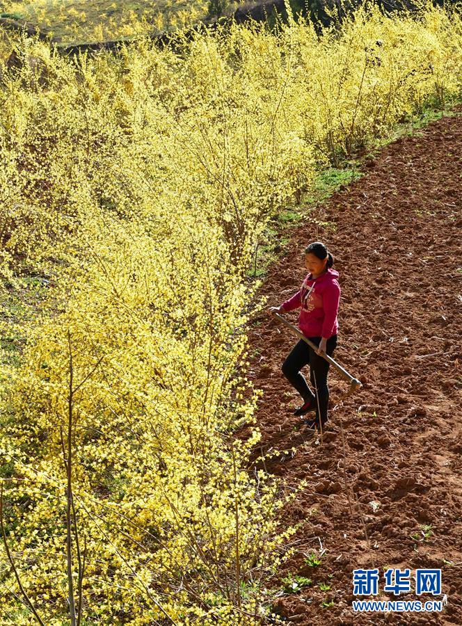 （新華全媒頭條&middot;習近平新時代中國特色社會主義思想在基層&middot;改革發展新氣象&middot;圖文互動）（6）改革創新潮涌動 激活發展新引擎