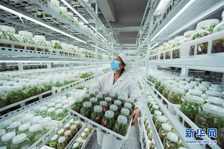 （新華全媒頭條&middot;兩會精神看落實&middot;圖文互動）（1）適應發展新方位 奮進決勝長征路