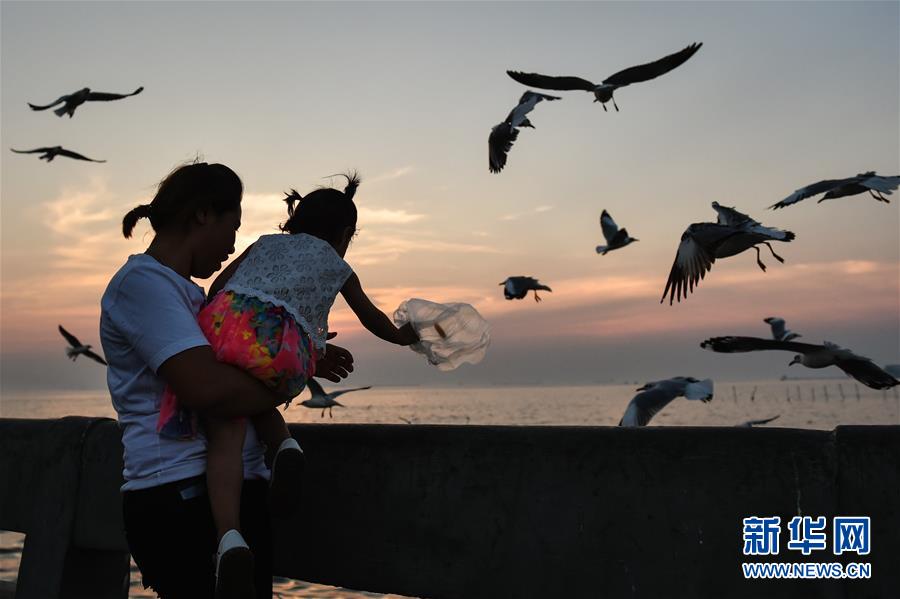 （國際&middot;編輯連線）（2）母親的懷抱