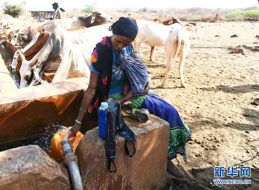 （國際&middot;編輯連線）（15）母親的懷抱