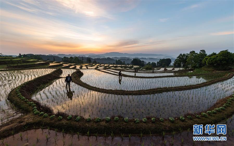 #（視&middot;覺）日出而作