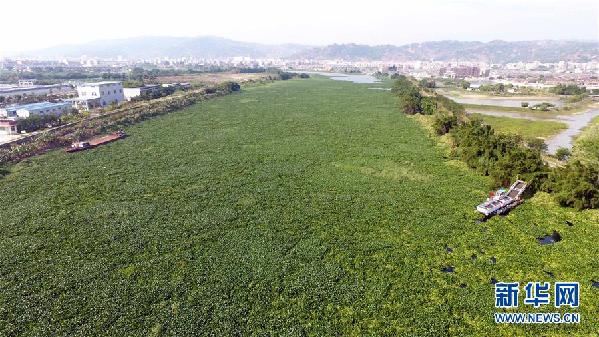 （圖文互動）（1）&ldquo;白練&rdquo;變&ldquo;黑龍&rdquo;，江河變&ldquo;草原&rdquo;－－粵東母親河為何污染20多年難治理？