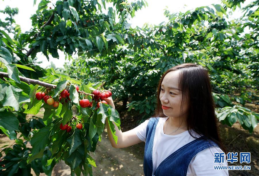 （社會）（2）特色農業休閑旅游助推鄉村振興