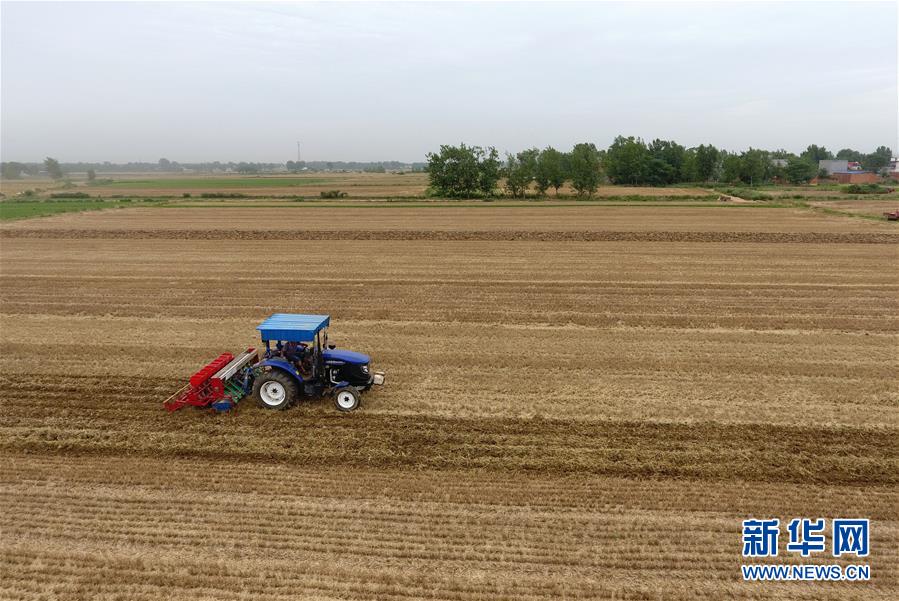 （經濟）（2）搶抓農時夏種忙