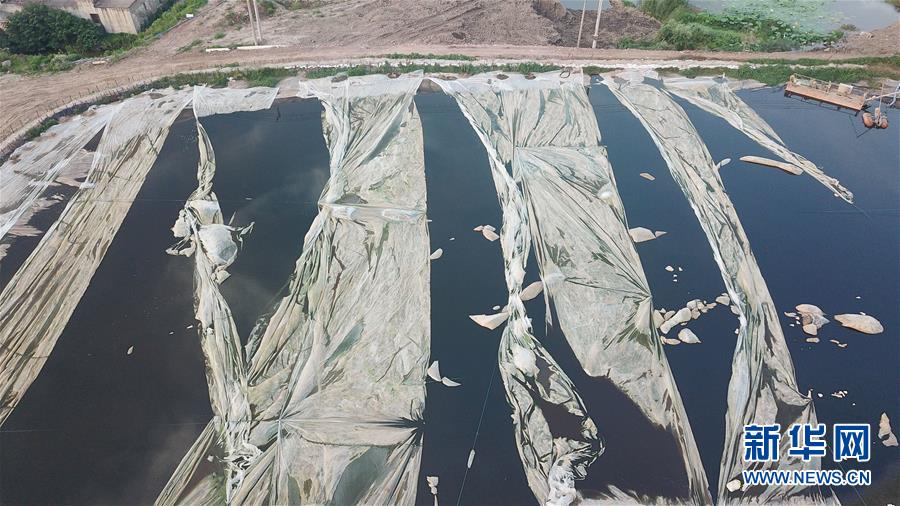 （新華視點(diǎn)&middot;圖文互動(dòng)）（4）中央督察兩年有的絲毫未改，有的不減反增&mdash;&mdash;江蘇泰興數(shù)萬噸化工廢料和污泥堆放長江邊調(diào)查