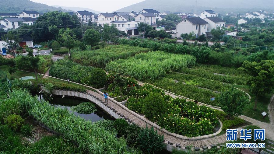 （在習近平新時代中國特色社會主義思想指引下&mdash;&mdash;新時代新作為新篇章&middot;圖文互動）（1）稀奇！治污濕地成了休閑公園&mdash;&mdash;江蘇蘇州全域推進農村生活污水治理