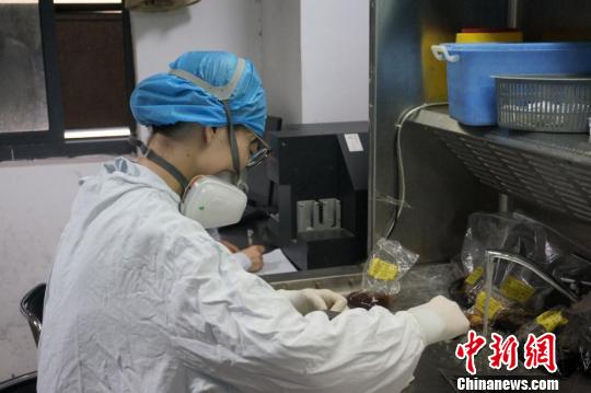 走進病理科醫生:爭分奪秒“戰斗”的醫院“法官”