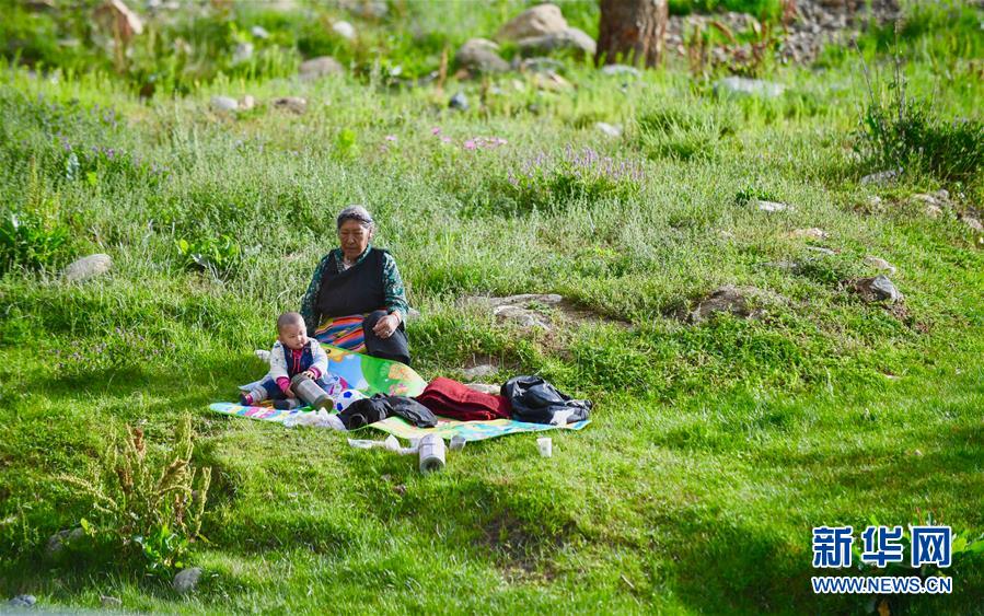 （社會）（3）夏日&ldquo;過林卡&rdquo; 親近大自然