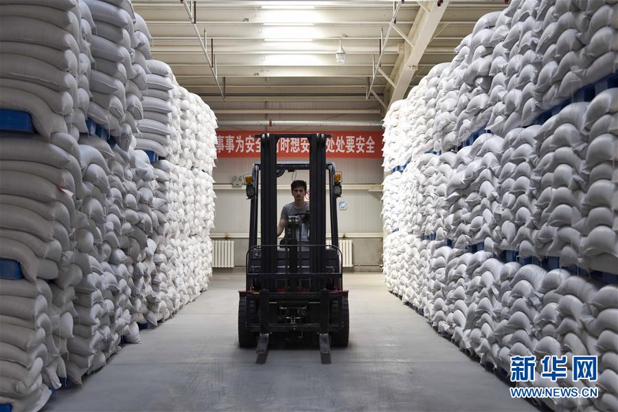 (新華全媒頭條·圖文互動)(6)去新疆!穿越古今絲綢之路