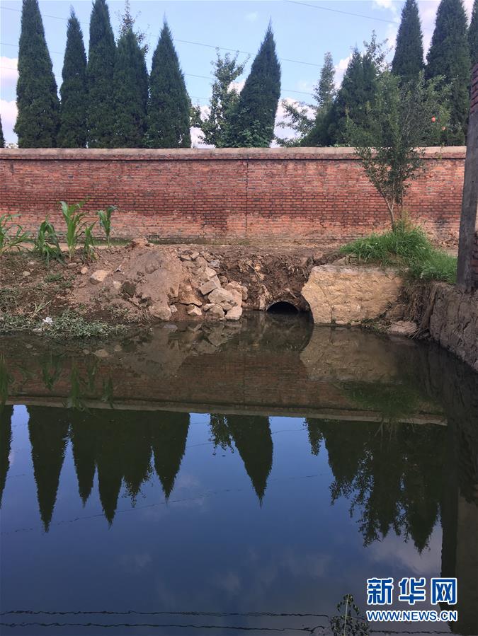 （新華視點&middot;圖文互動）（3）上游洪水來襲下游魚蟹死亡，泄洪為何變泄污？