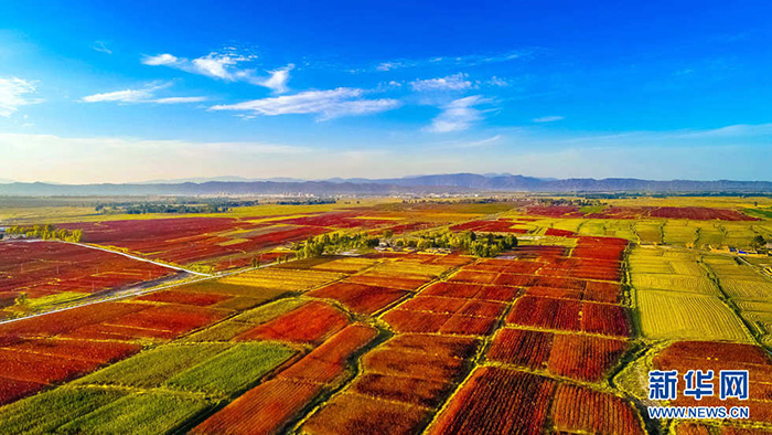 秋收的中國，你想象不到的美！但更美的是&hellip;&hellip;