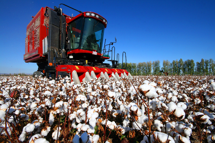 秋收的中國，你想象不到的美！但更美的是&hellip;&hellip;