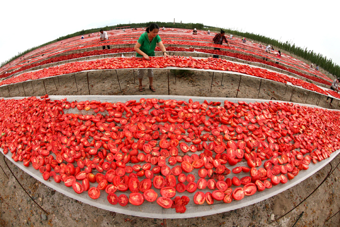 秋收的中國，你想象不到的美！但更美的是&hellip;&hellip;