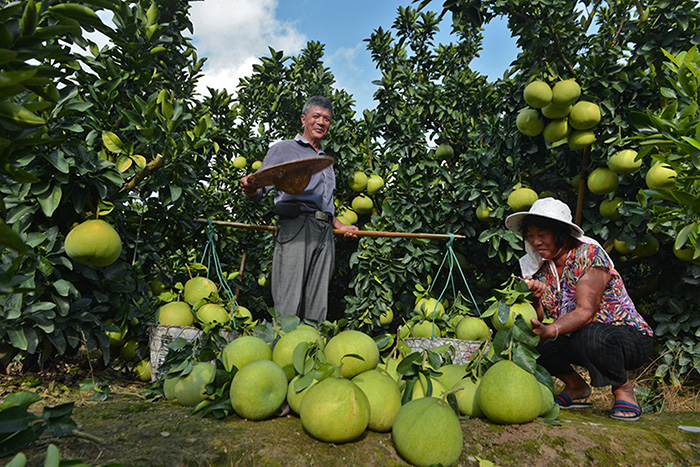 秋收的中國，你想象不到的美！但更美的是&hellip;&hellip;