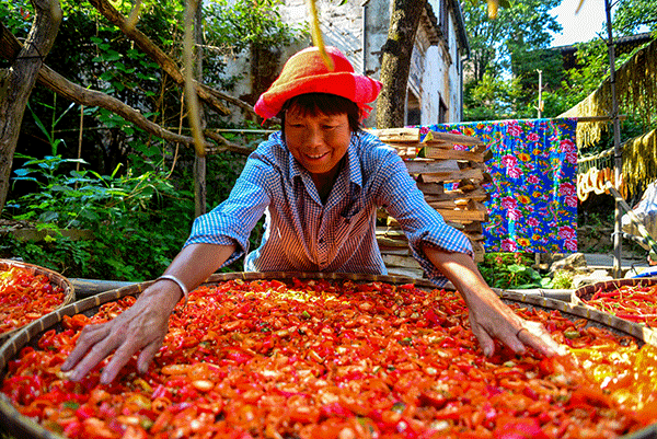 秋收的中國，你想象不到的美！但更美的是&hellip;&hellip;