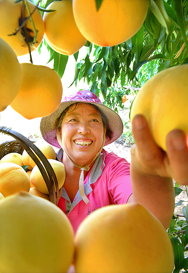 秋收的中國，你想象不到的美！但更美的是&hellip;&hellip;