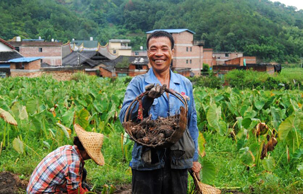 秋收的中國，你想象不到的美！但更美的是&hellip;&hellip;