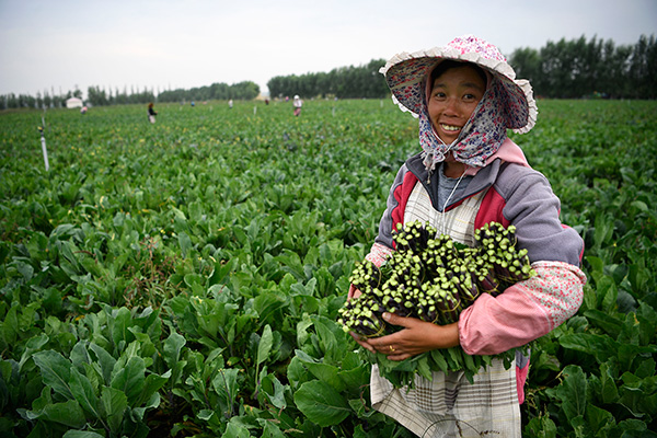 秋收的中國，你想象不到的美！但更美的是&hellip;&hellip;