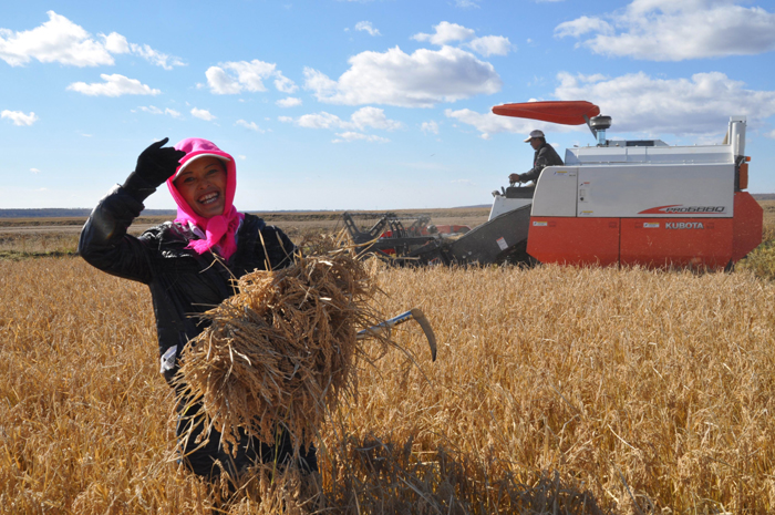 秋收的中國，你想象不到的美！但更美的是&hellip;&hellip;