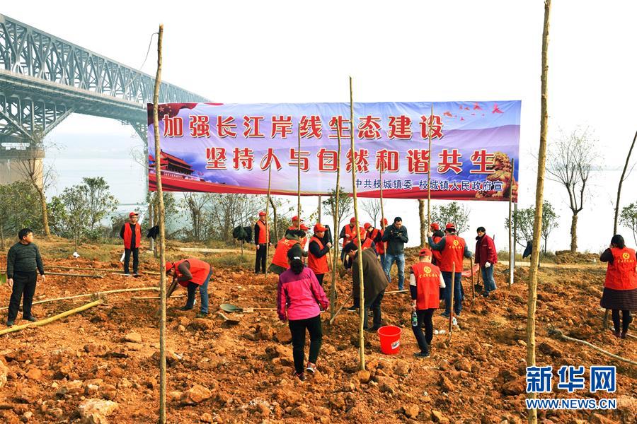 （在習近平新時代中國特色社會主義思想指引下&mdash;&mdash;新時代新作為新篇章&middot;圖文互動）（2）湖北枝城鎮：片區黨建助推鄉村全面振興