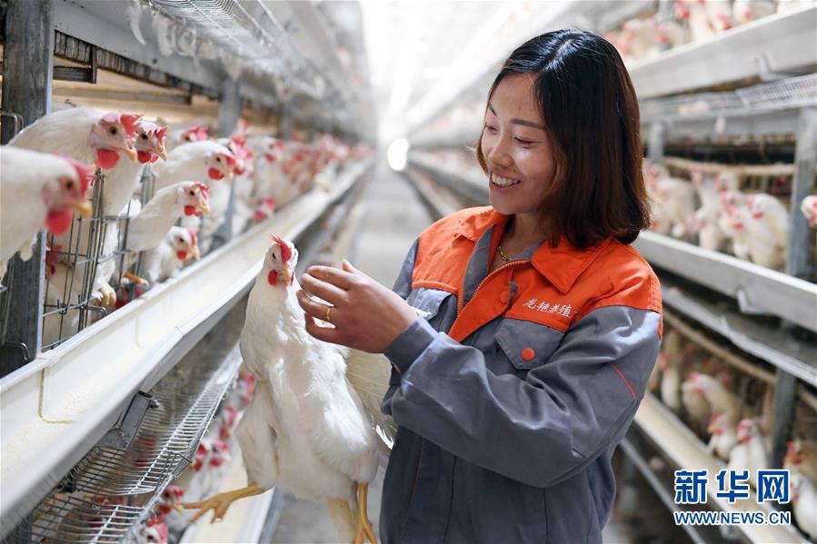 （新華全媒頭條&middot;圖文互動）（1）希望灑在金色田野&mdash;&mdash;寫在鄉村振興戰略實施一周年之際