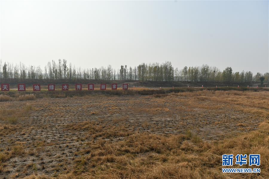 （在習近平新時代中國特色社會主義思想指引下&middot;慶祝改革開放40周年&middot;綠色發展）（新華全媒頭條&middot;圖文互動）（6）綠色發展：書寫在中國大地上的美麗畫卷