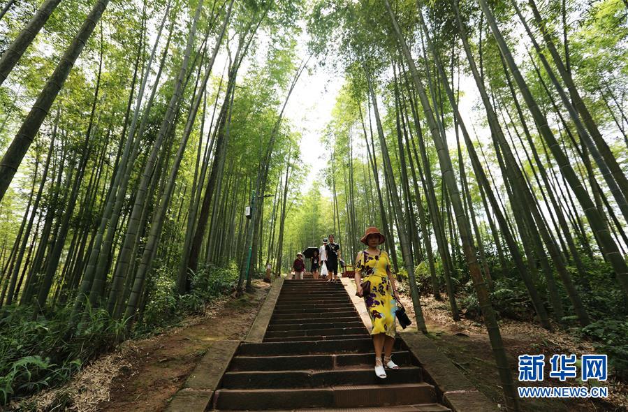 （在習近平新時代中國特色社會主義思想指引下&middot;慶祝改革開放40周年&middot;綠色發展&middot;圖文互動）（1）向陽花木易為春&mdash;&mdash;綠色發展之&ldquo;木&rdquo;的故事