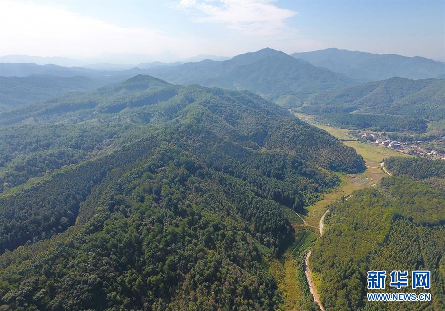 （在習近平新時代中國特色社會主義思想指引下&middot;慶祝改革開放40周年&middot;綠色發展&middot;圖文互動）（3）向陽花木易為春&mdash;&mdash;綠色發展之&ldquo;木&rdquo;的故事