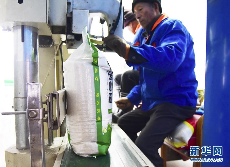 （在習近平新時代中國特色社會主義思想指引下&mdash;&mdash;新時代新作為新篇章&middot;鄉村振興戰略&middot;圖文互動）（3）吉林榆樹：產糧&ldquo;冠軍縣&rdquo;大旱之年從容應對減產考驗