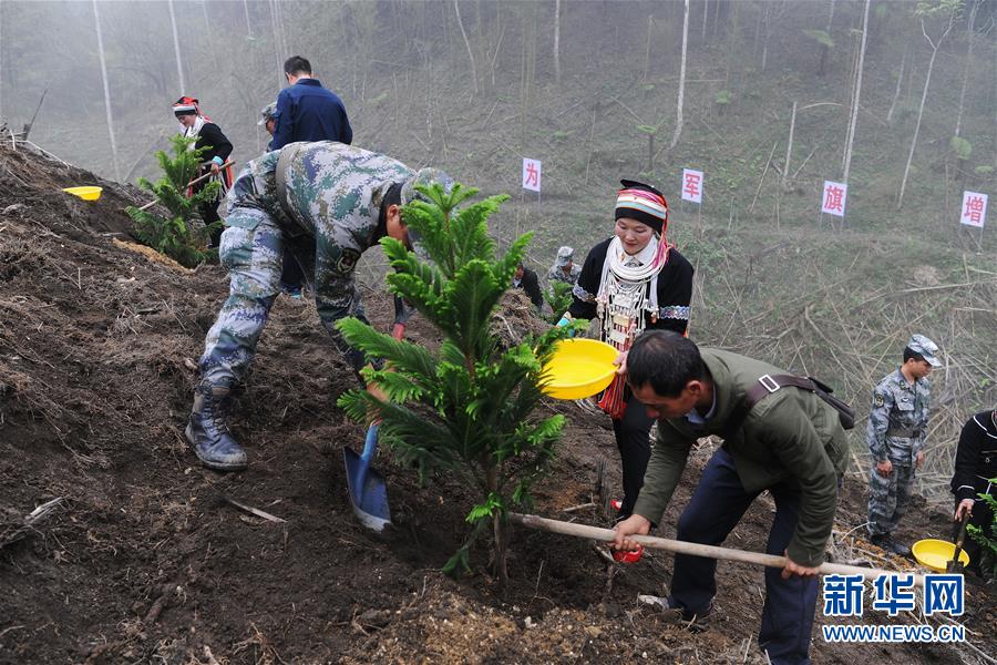 （圖文互動）（6）和平年代，離死神最近的人&mdash;&mdash;南部戰區陸軍云南掃雷大隊邊境掃雷排爆記事