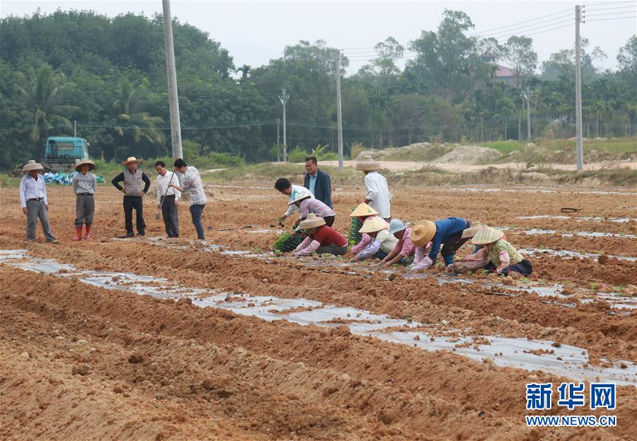 （新華視點&middot;回望2018&middot;圖文互動）（7）2018年新華社曝光多起破壞生態事件，記者年底追訪發現&hellip;&hellip;